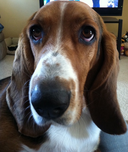 Entry image for Mia aka " Da Meems ". Clicking this image will show a larger photo