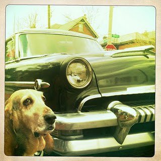 Entry image for Betsy Basset. Clicking this image will show a larger photo