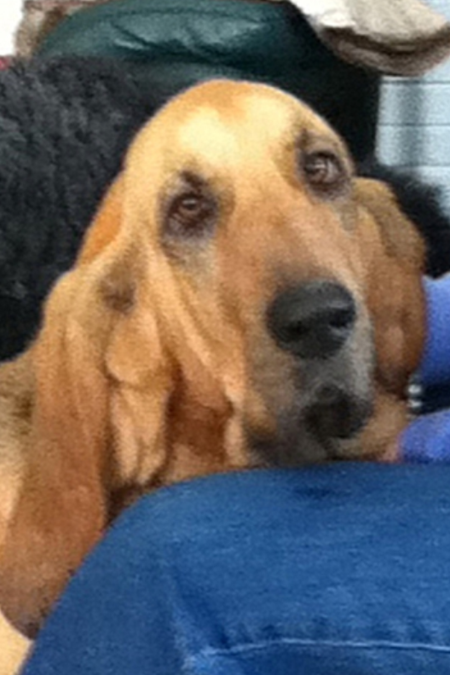 Macy