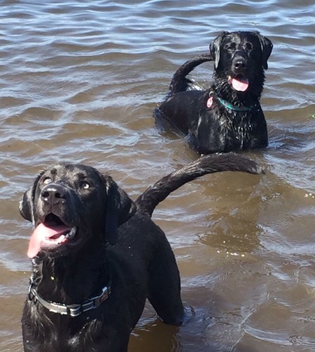 Riley & Zoie