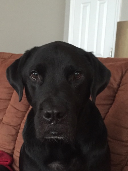 Porter 