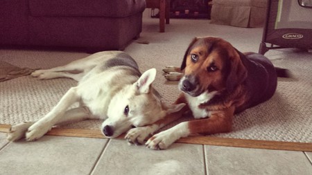 Jasper & Ellie