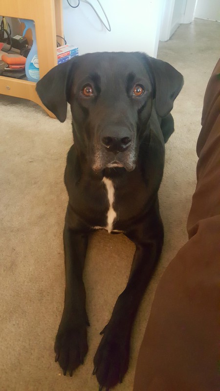 Tucker