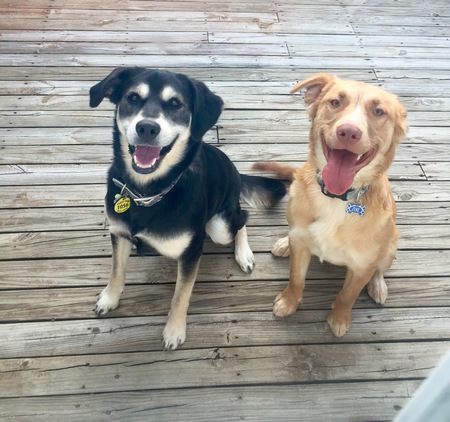 Luna & Zeke 