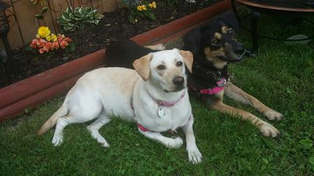 Millie & Shine