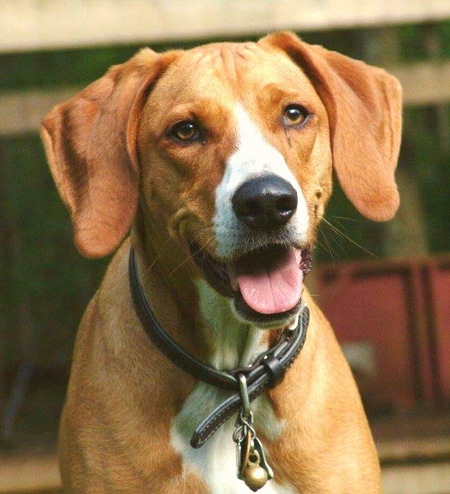 Copper