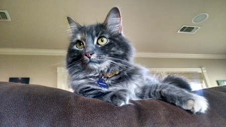 Simone