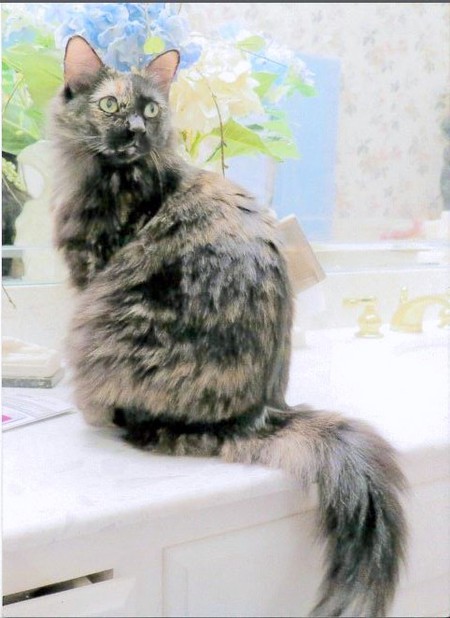 Fluffy