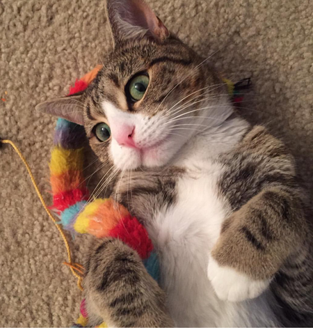 Chloe