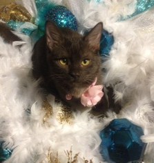 Precious (formerly Princess P)