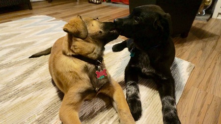 Dexter and Izzie