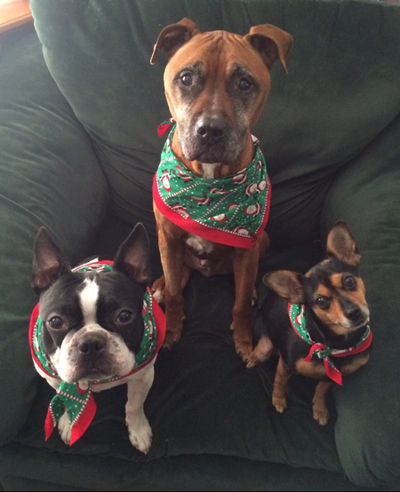 Oliver, Max and Delilah