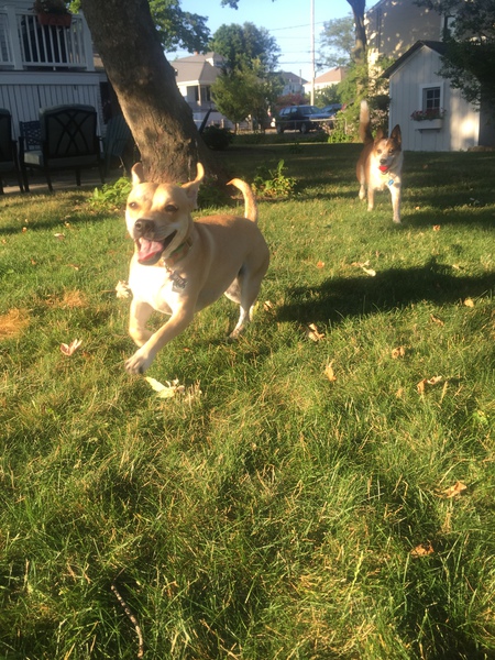 Ellie