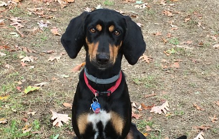 Xena