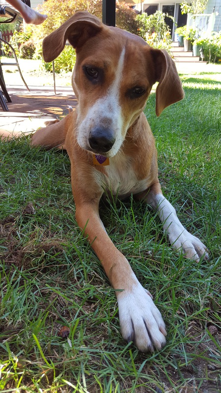 Zoe