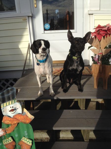 Benny & Garth 