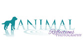 Animal Reflections Photography