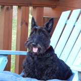 Entry image for Caisey