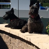 Entry image for Duncan & Lucas