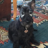 Entry image for Bridget