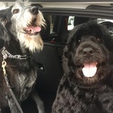 Entry image for Roni Morris and Piper Truman