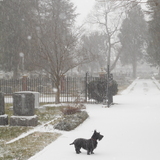 Entry image for Vita