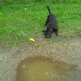 Entry image for Vita