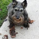 Entry image for Sara