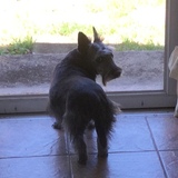 Entry image for Saydie