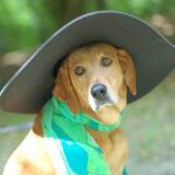 Entry image for Maybelle