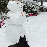 Entry image for Frank