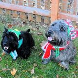 Entry image for Angus & Quigley