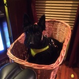 Entry image for Kyleigh