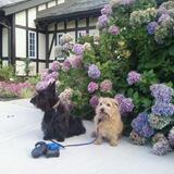 Entry image for Katie