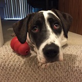 Entry image for Ella 