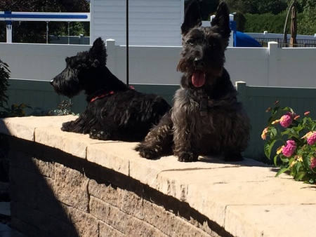 Entry image for Duncan & Lucas. Clicking this image will show a larger photo