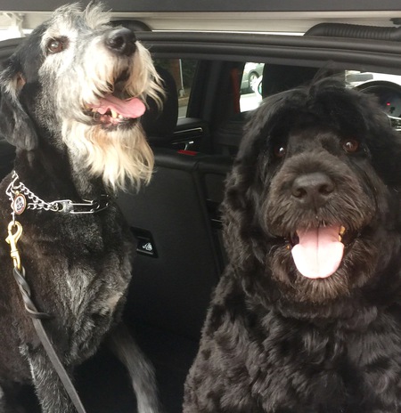 Entry image for Roni Morris and Piper Truman. Clicking this image will show a larger photo