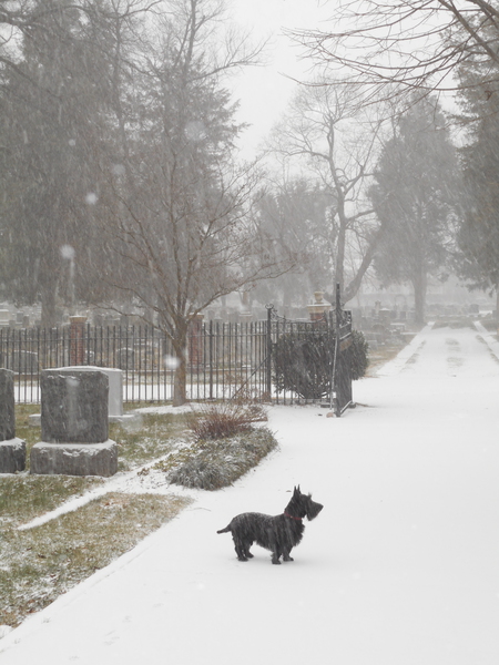 Entry image for Vita. Clicking this image will show a larger photo