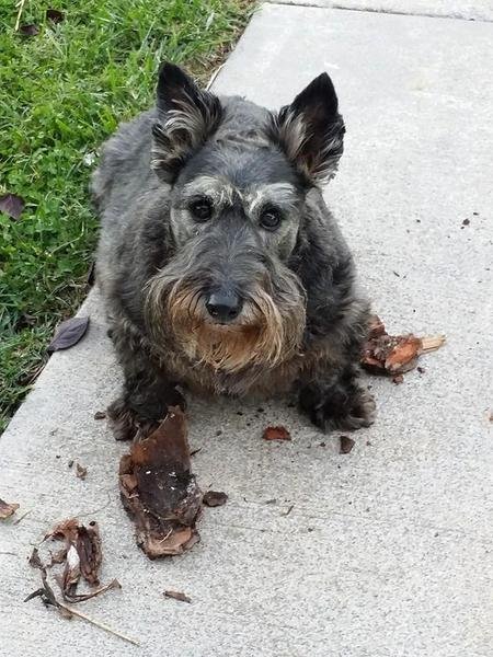 Entry image for Sara. Clicking this image will show a larger photo