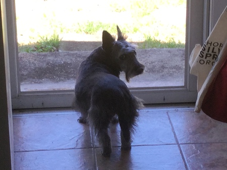 Entry image for Saydie. Clicking this image will show a larger photo