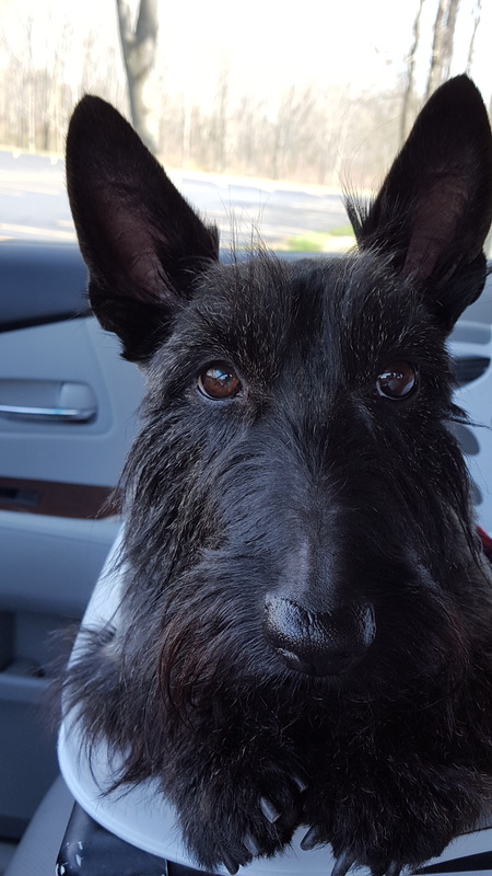 Entry image for Tara. Clicking this image will show a larger photo