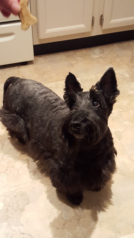 Entry image for Nick. Clicking this image will show a larger photo