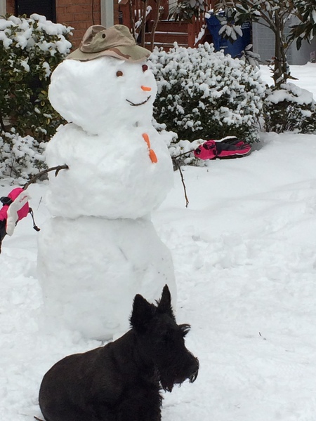 Entry image for Frank. Clicking this image will show a larger photo