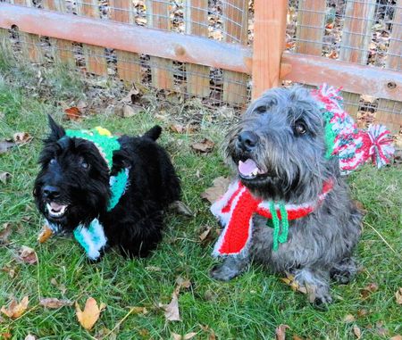 Entry image for Angus & Quigley. Clicking this image will show a larger photo