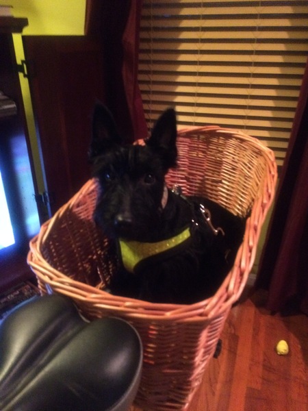 Entry image for Kyleigh. Clicking this image will show a larger photo