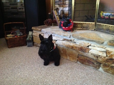 Entry image for Bubee Watson. Clicking this image will show a larger photo