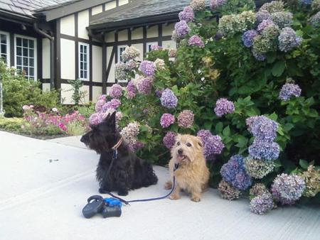 Entry image for Katie. Clicking this image will show a larger photo