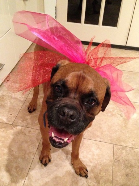 Brubrie Valentine
