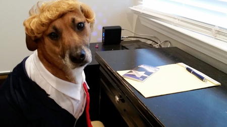 Mayberry, The Next PAWTUS!