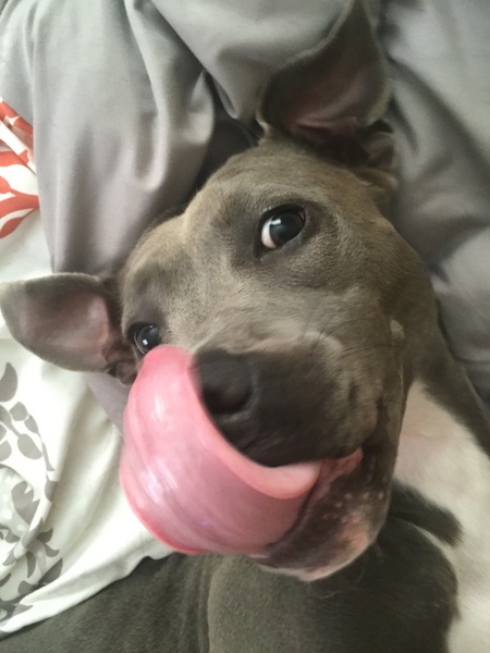 Gia